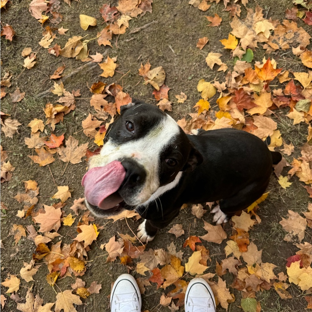 Meet your Posher, Lexi